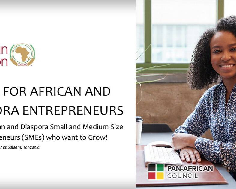 African Union Call For Diaspora Entrepreneurs