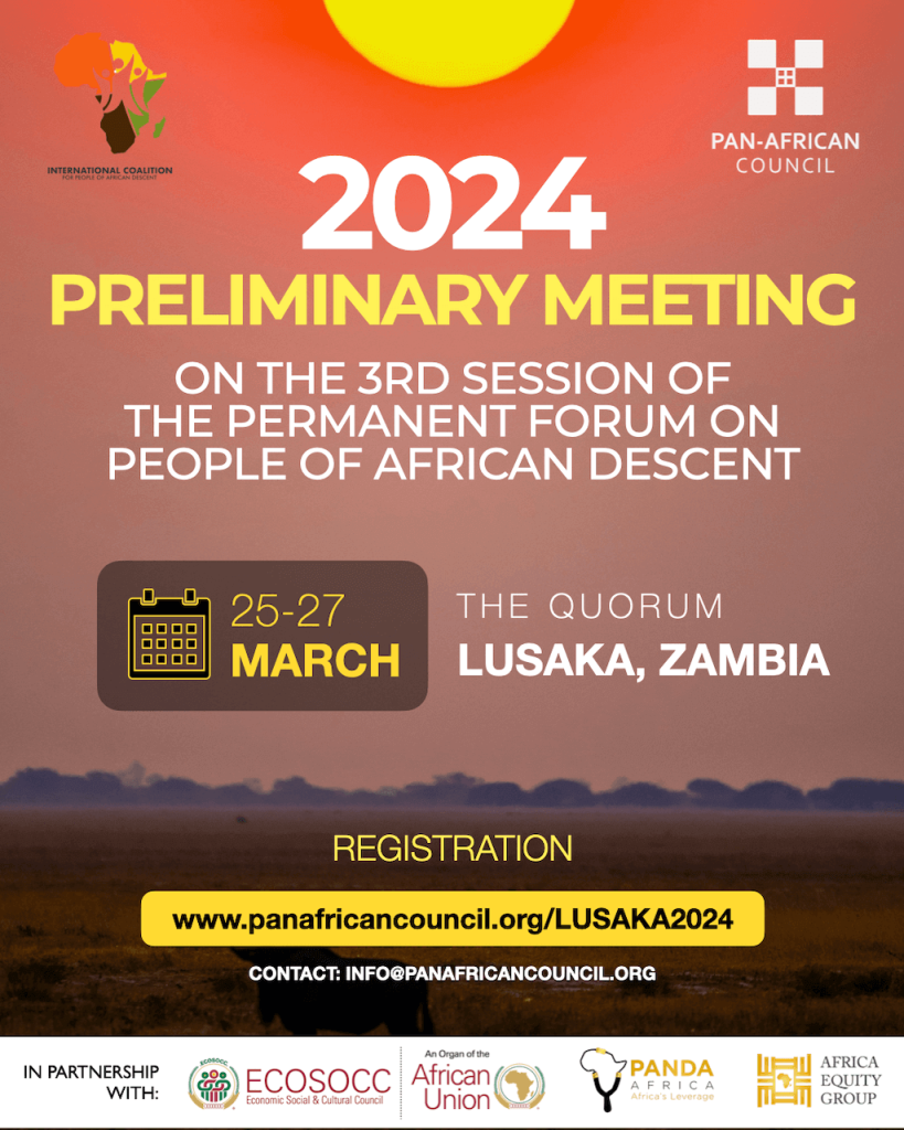 Preliminary meeting on the 3rd session of the UN Permanent Forum on People of African Descent