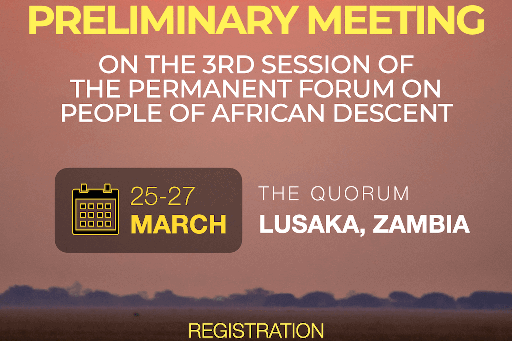 Preliminary meeting on the 3rd session of the UN Permanent Forum on People of African Descent