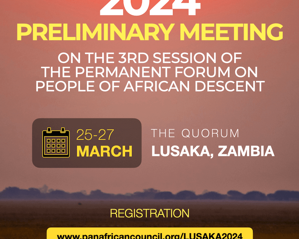 Preliminary meeting on the 3rd session of the UN Permanent Forum on People of African Descent