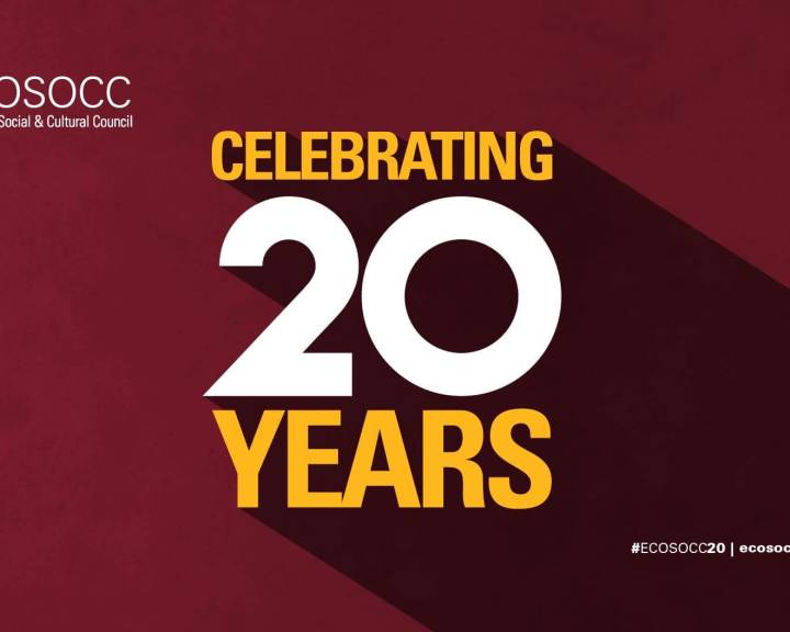 African Union ECOSOCC E-Symposium